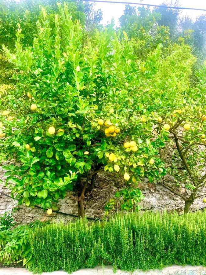 Il Gabbiano Di Pieve Bed & Breakfast Pieve Ligure Bagian luar foto
