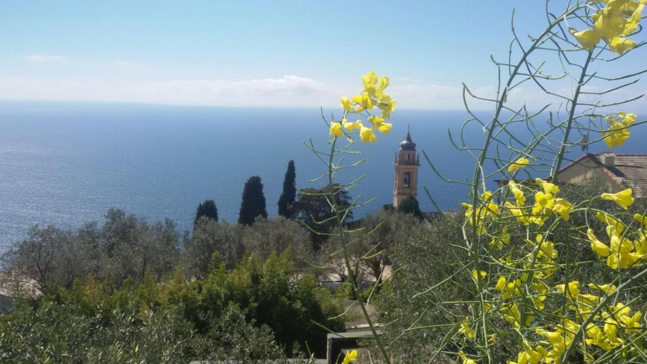 Il Gabbiano Di Pieve Bed & Breakfast Pieve Ligure Bagian luar foto