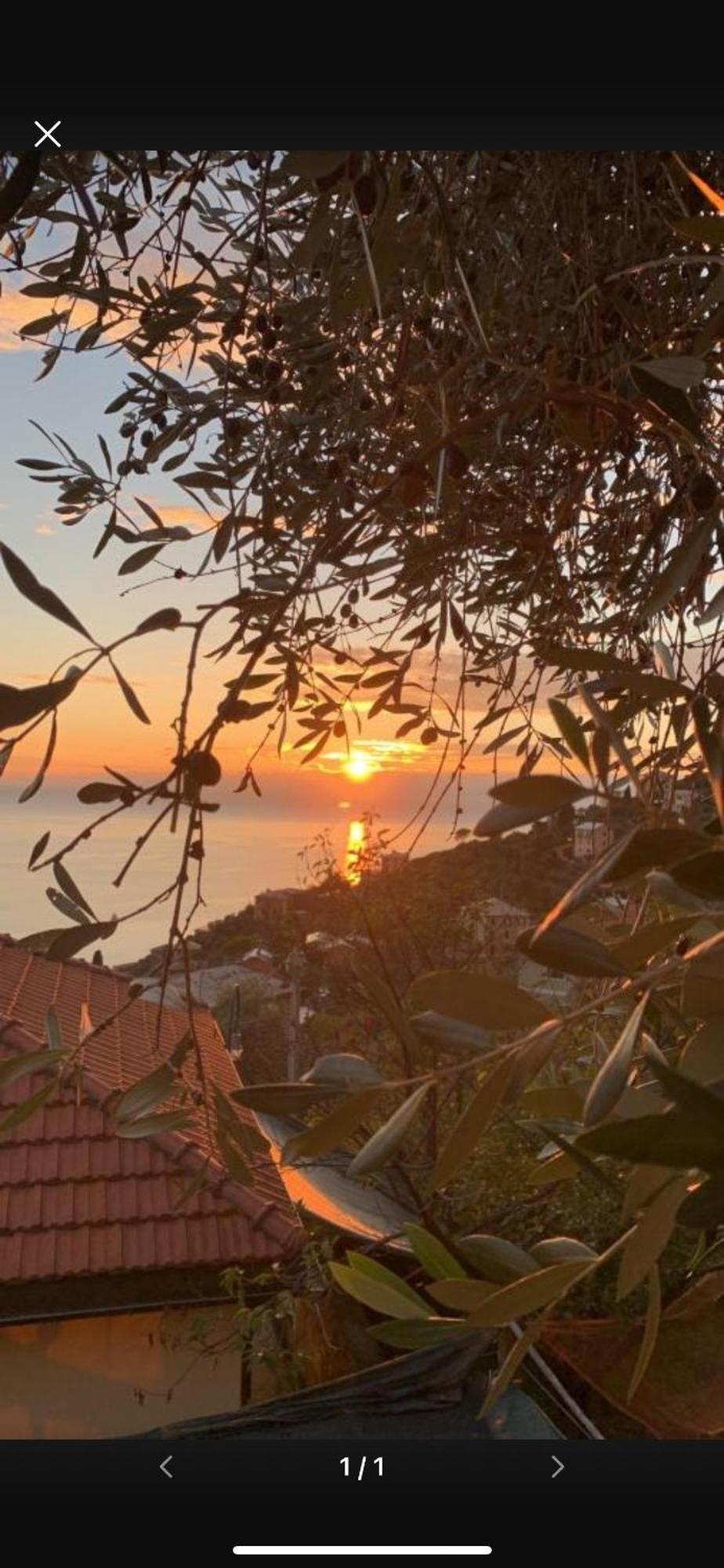 Il Gabbiano Di Pieve Bed & Breakfast Pieve Ligure Bagian luar foto