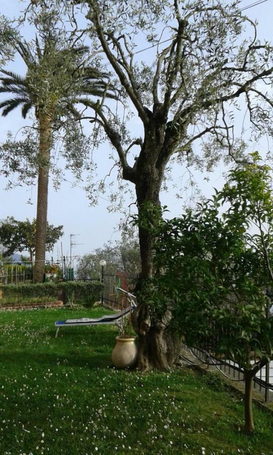 Il Gabbiano Di Pieve Bed & Breakfast Pieve Ligure Bagian luar foto